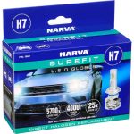 H7 LED BULBS